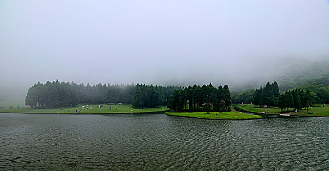 rong bach
