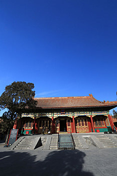 bạch thu de