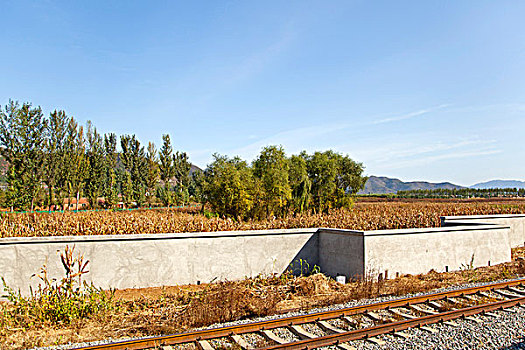 kinh nghiem danh lo bach thu
