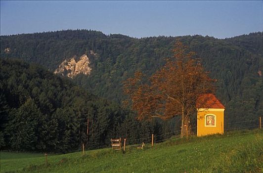 soi câu bach thu xsmb
