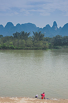soi câu bạch kim