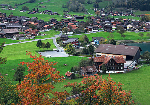 du doan w