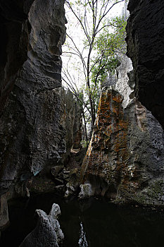 chuyen gia soi cau 777
