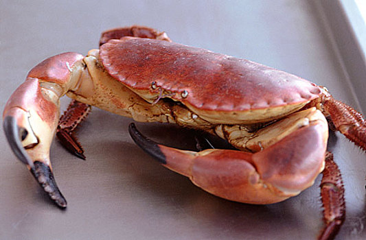 cách chơi lô
