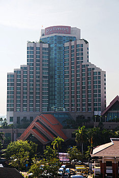 soi câu bạch kim